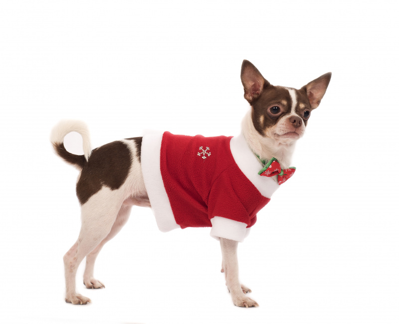 Пуловер для собак Йорики Дед Мороз размер M 2