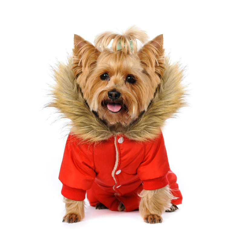 Комбинезон для собак красный с меховым капюшоном девочка 1