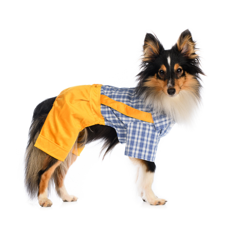 Костюм S для собак желтый с рубашкой 3