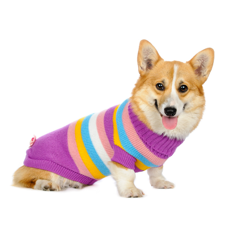 Свитер для собак фиолетовый в полоску 1
