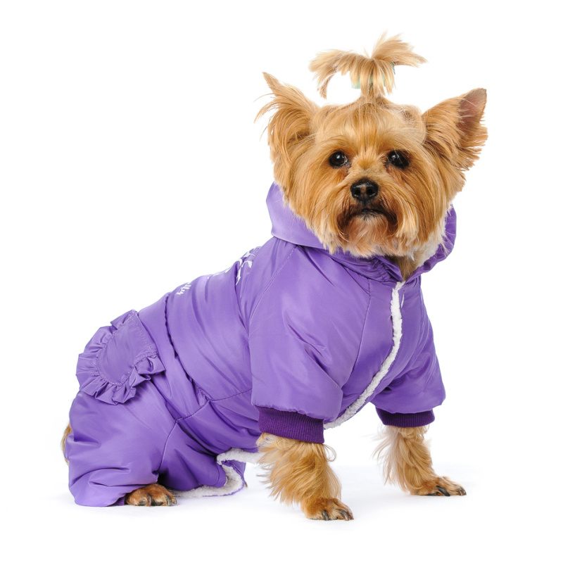 Комбинезон для собак фиолетовый с капюшоном девочка 2