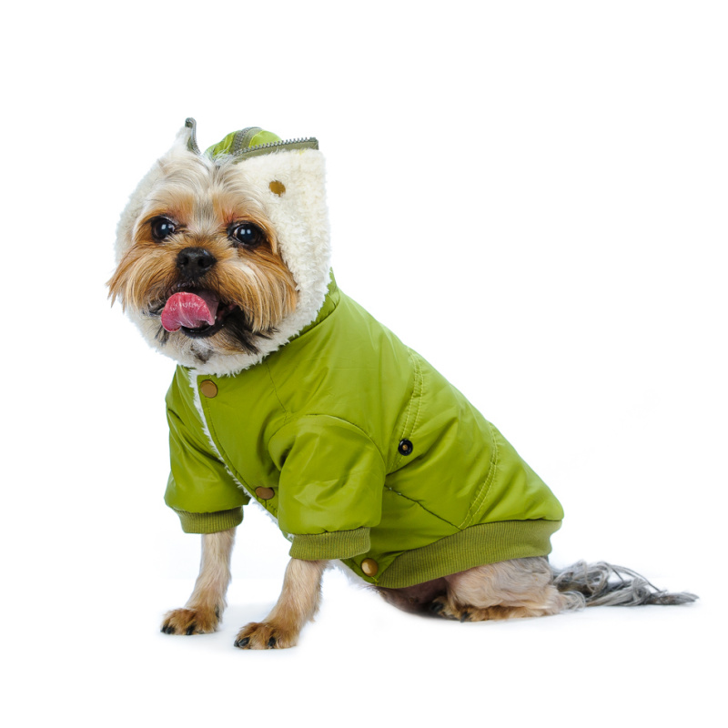 Куртка для собак оливковая 2
