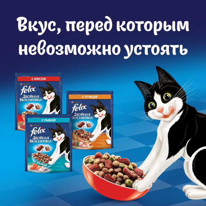Сухой корм Двойная Вкуснятина для взрослых кошек, с мясом, 300 г 3