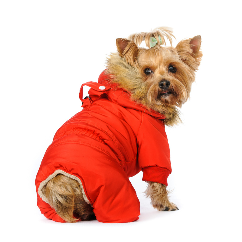 Комбинезон для собак красный с меховым капюшоном девочка 2