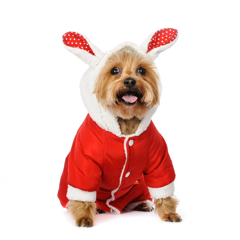 Комбинезон для собак красный с капюшоном и ушками 1