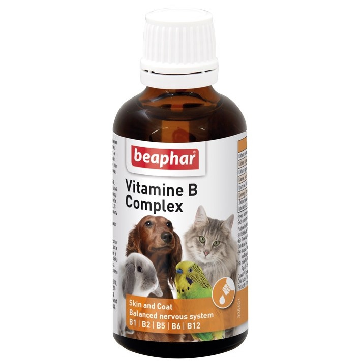 витамин б для кошек