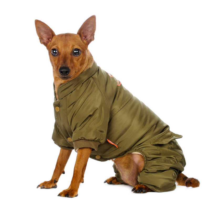 Комбинезон для собак зеленый Air Force 3