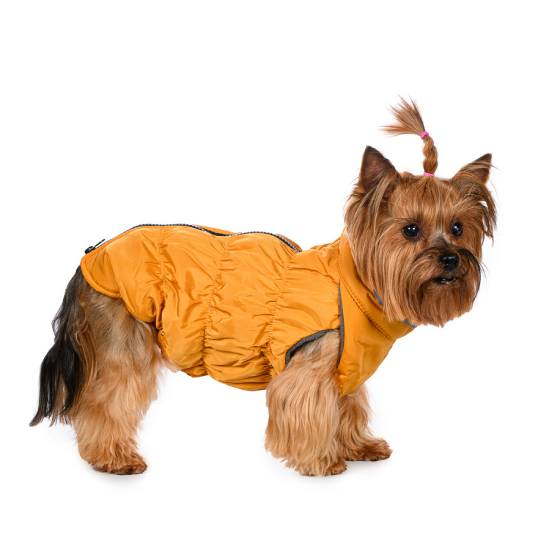Куртка для собак на молнии желтая
