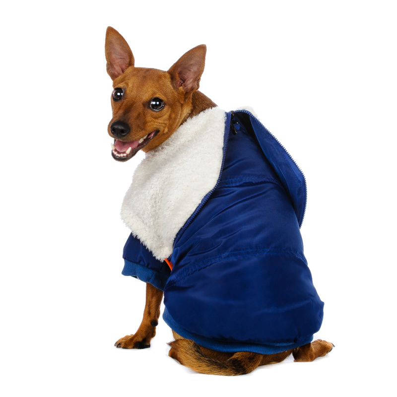 Куртка для собак синяя 2