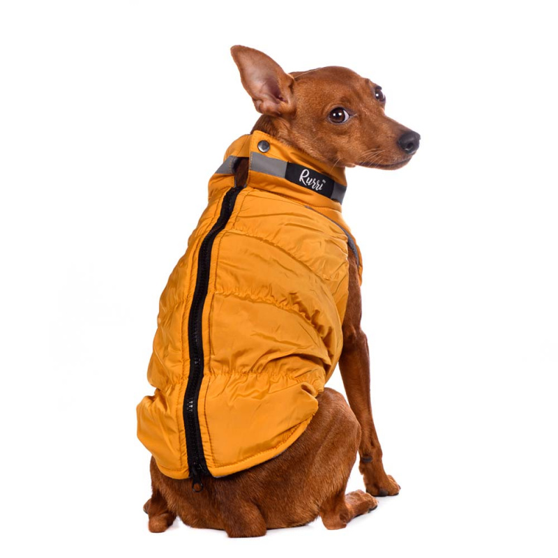 Куртка для собак на молнии желтая 3
