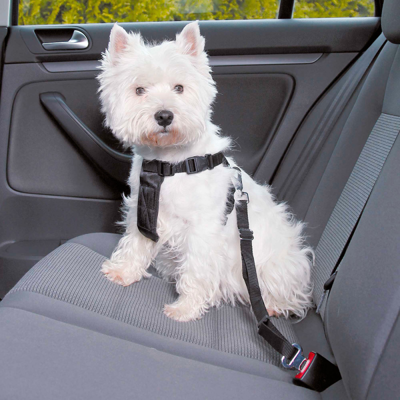 автомобильный ремень безопасности для собак 30-60 см 2
