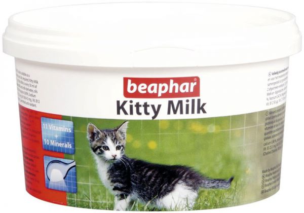 Правильное приготовление молочной смеси для котенка