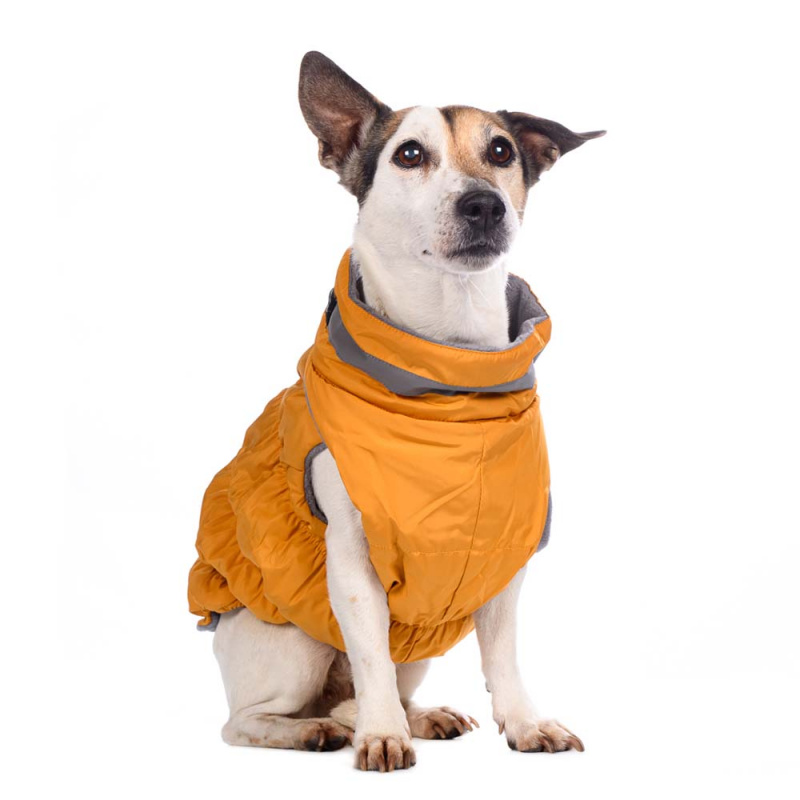 Куртка для собак на молнии желтая 10