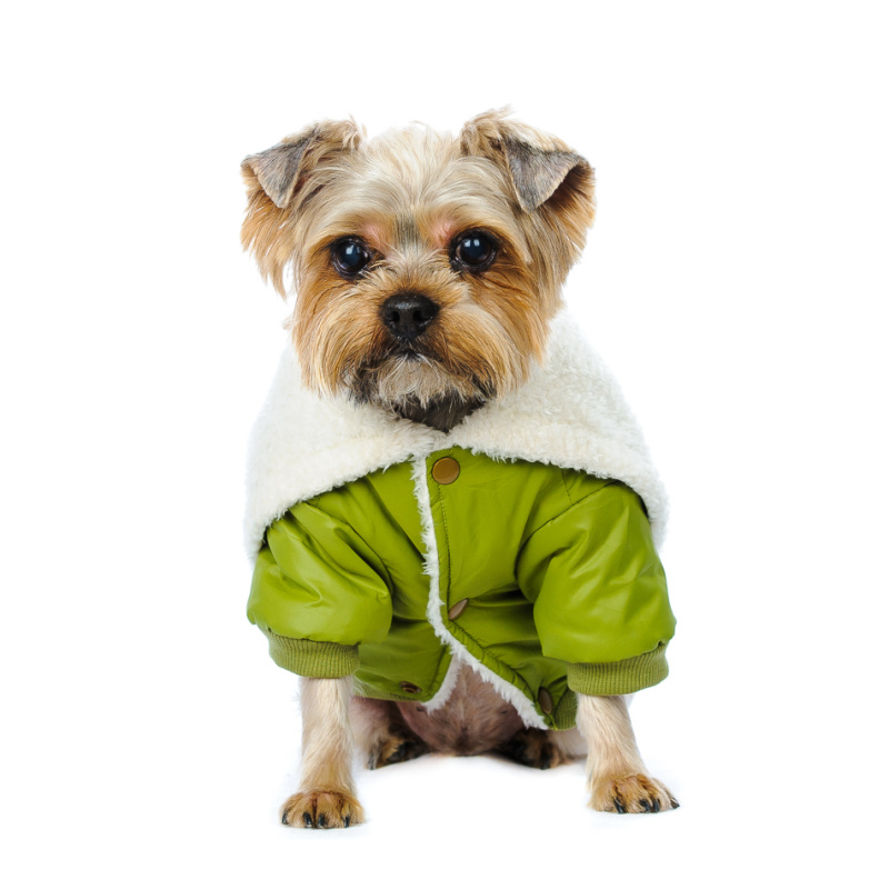 Куртка для собак оливковая