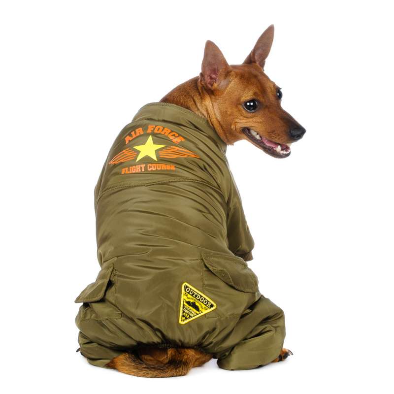 Комбинезон для собак зеленый Air Force 1