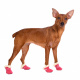 Превью Ботинки замшевые для собак L розовый (унисекс) 2