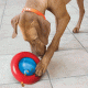 Превью Игрушка для собак интерактивная под лакомства Gyro малая 13 см 1
