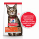 Превью Science Plan Сухой корм для поддержания жизненной энергии и иммунитета взрослых кошек, с ягненком, 10 кг 3