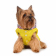 Превью Куртка с капюшоном для собак XS желтый (унисекс) 2