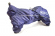 Превью Дождевик с мембраной и резиновой молнией для собак Французский бульдог XL синий (девочка)