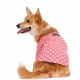 Превью Рубашка для собак 2XL розовый (унисекс)