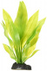 Превью Растение для аквариума Амазон Сворд Плэнт зеленое 27 см