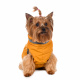 Превью Куртка на молнии для собак S желтый (унисекс) 1