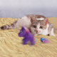 Превью Интерактивная игрушка для кошек Enchanted Buzzy Единорог, с мятой 1