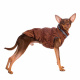 Превью Куртка для собак на молнии коричневая 7