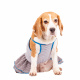 Превью Платье для собак с бантиком XL голубой (девочка) 2