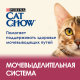 Превью Сухой корм для взрослых кошек для здоровья мочевыводящих путей, с высоким содержанием домашней птицы, 15 кг 8