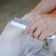 Превью Гребень с ручкой двухсторонний для собак и кошек Gro 5755 Premium, 21,5x5,7x3 см 3