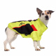 Превью Куртка на молнии для собак мелких пород Карликовый пинчер, Джек Рассел, Бигль 29x42x27см M желтый (унисекс)