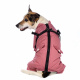 Превью Комбинезон на молнии со шлейкой для собак XL розовый (девочка) 2