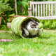 Превью Туннель для кошек 27x60 см светло-зеленый 3