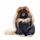 Превью Комбинезон теплый для собак средних пород Пекинес 37x35x51см XL ягодный (девочка)