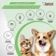 Превью Quadro Tabs Таблетки от клещей, блох, гельминтов для кошек и собак 2-8 кг, 4 таблетки 3