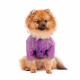 Превью Дождевик для собак с капюшоном M фиолетовый (унисекс) 2