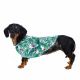 Превью Рубашка для собак с листьями M зеленый (унисекс) 4