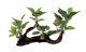 Превью Mangrove Driftwood With Anubias M4 - Декоративная композиция изпластика Мангровая коряга с анубиасом, 39,5x11x23 см