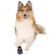 Превью Обувь для собак Walker Professional тапок из неопрена размер M 2 шт.