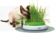 Превью Грунт и семена травы для кошек 1
