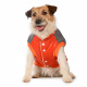 Превью Куртка для собак XS оранжевый (унисекс)
