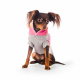 Превью Свитер с капюшоном для собак 20см XS розовый (унисекс)
