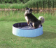 Превью Бассейн для собак, 80x20 см, голубой/синий
