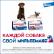 Превью Мильбемакс Таблетки от гельминтов для собак крупных пород весом 5-50 кг, 2 таблетки 9