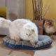Превью Подушка для кошек и собак мелких пород Stuart, 65х42 см, синий 5