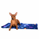 Превью Плед Космос для кошек и собак всех размеров, 100х75 см, цвет в ассортименте