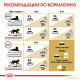 Превью Siberian Adult корм для взрослых сибирских кошек старше 12 месяцев, 400 г 7