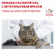 Превью Renal RF23 корм для взрослых кошек с хронической почечной недостаточностью, 4 кг 5